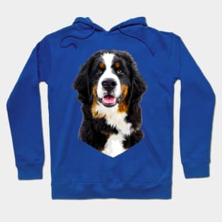 Bernese Mountain Dog Cute Puppy Hoodie